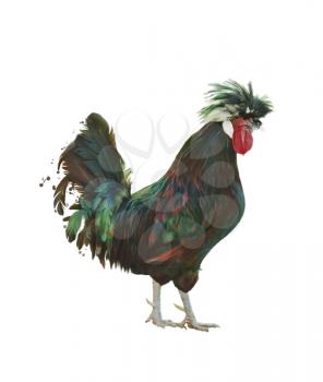 Digital Painting Of Colorful Rooster