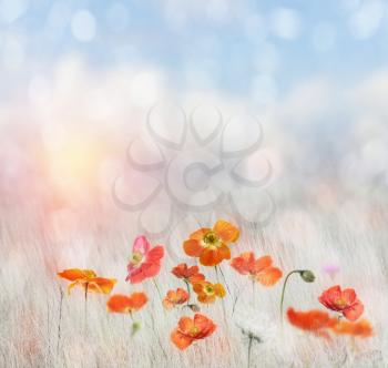 Digital Painting Of  Poppy Flowers
