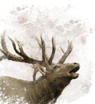 Digital Painting Of Bull Elk