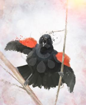 Digital painting Of Red Winged Blackbird