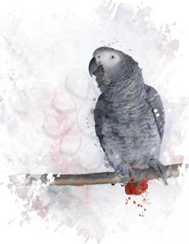 Digital Painting Of African Grey Parrot