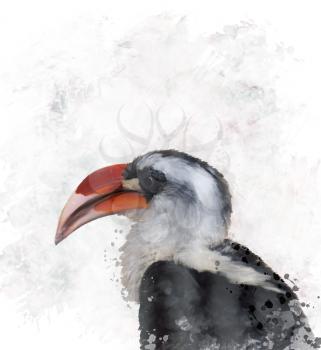 Digital Painting Of Hornbill Bird
