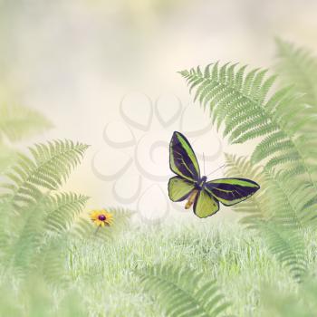 Green Butterfly and Plants.Nature Background