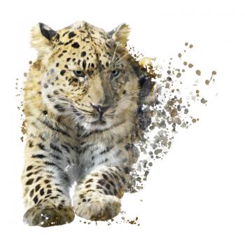 Digital Painting of Leopard Portrait