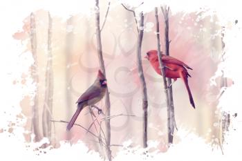 Digital Painting of  Northern Cardinals Perching on a Branch