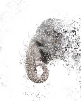 digital painting of  elephant head