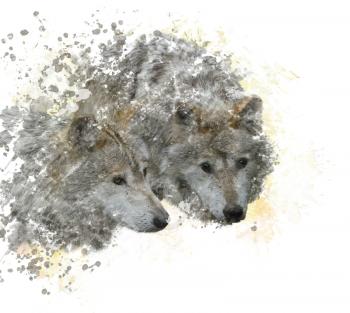 digital painting of  Two wolves 