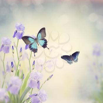 Blue Butterflies in a Garden
