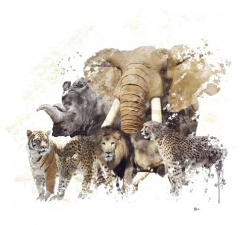 Digital Painting of  Wild Animals 