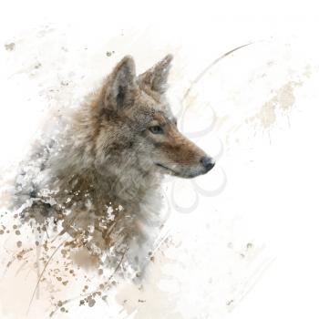 digital painting of Coyote portrait