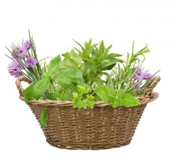 Fresh herbs in a basket isolated on white background
