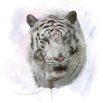 Digital Painting of White Tiger
