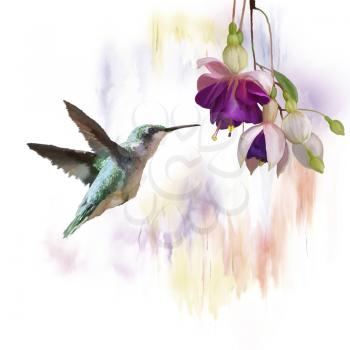 Digital Painting of  Hummingbird and flowers
