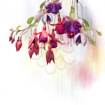 Digital Painting of  Purple and red Fuchsia Flowers on white background