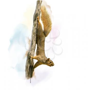 Digital Painting of  Squirrel On A Tree