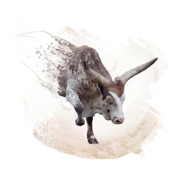 Digital Painting of  brown and white longhorn steer