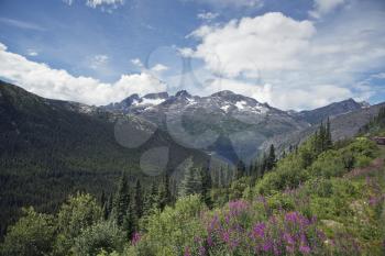 Scenic landscape along Skagway, Alaska - White Pass and Yukon Route