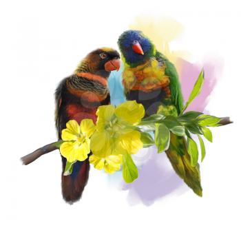 Digital Painting of Lorikeet Parrots