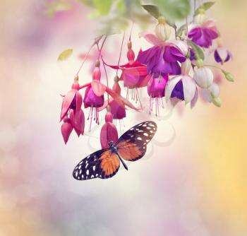 Red and Purple Fuchsia Flowers and butterfly