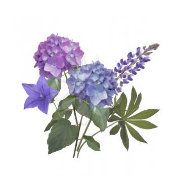 Blue and purple flowers arrangement isolated on white background