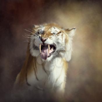 Sabertooth tiger portrait.Digital art