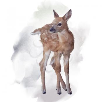 whitetail deer fawn watercolor painting
