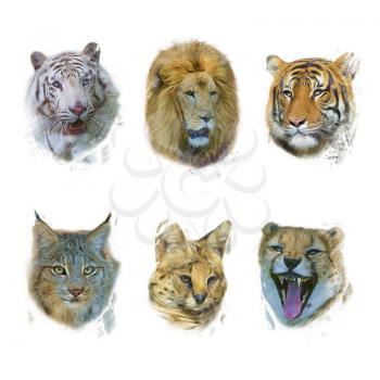 Digital painting of Wild Mammals