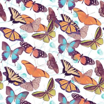 seamless pattern with  butterflies on white background