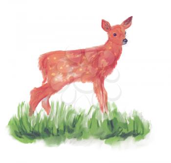 White-tailed deer fawn in grass watercolor painting