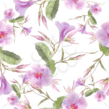 Watercolor Pink Dipladenia flowers isolated on white background.Endless texture for your design.
