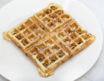 Homemade square belgian waffle  on a white plate
