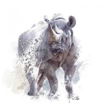 black rhinoceros watercolor digital painting on white background