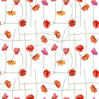 seamless pattern with Red Poppy Flowers on white background. Endless design.