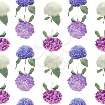 Seamless floral design with hydrangea flowers for background, Endless pattern.