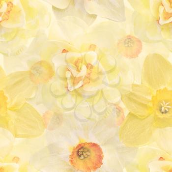 Seamless floral design with daffodil  flowers for background, Endless pattern.Watercolor illustration.