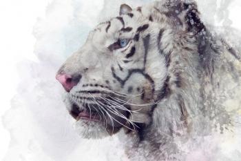 White tiger digital illustration on white background