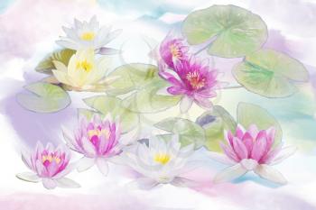 Pink and white Water Lily flowers in a pond. Digital painting.