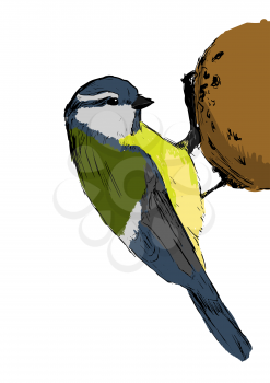 Sketch tit bird over white. Vector illustration EPS