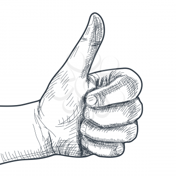 Hand drawn hand with thumb up. Vector illustration
