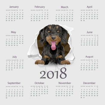 Calendar 2018 year with dog vector design template, Week starting on Sunday. EPS10