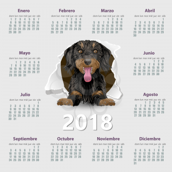 Calendar 2018 year vector design template with dog in Spanish, Week starting on Monday. EPS