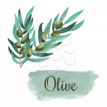 watercolor olive branch card over white background. hand drawn illustration