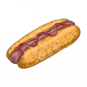 Vector vintage hot dog drawing. Hand drawn color fast food illustration. Great for menu, poster or label.