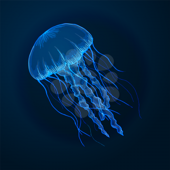 Hand drawn sketch isolated jellyfish, marine animals - Stock Vector illustration
