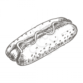 Vector vintage hot dog drawing. Hand drawn monochrome fast food illustration. Great for menu, poster or label.