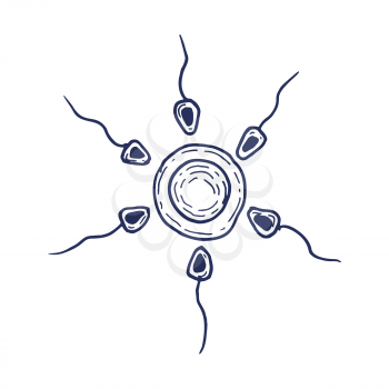 sperm and egg cell hand drawing. Vector illustration