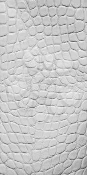 White crocodile leather texture, macro