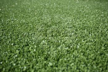 Artificial Grass Field Top View Texture 