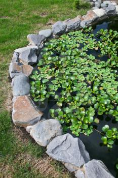 Natural stone pond with water plants