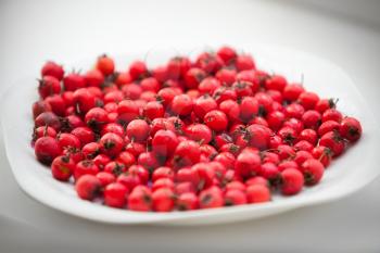 Hawthorn berries on the white plate